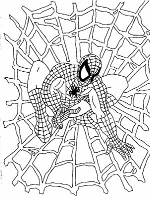 Spiderman Coloring Pages Free Printable   606700