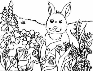 Spring Coloring Pages for Toddlers   dl53x