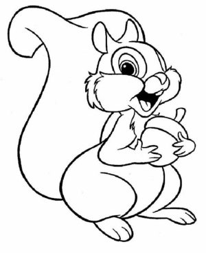 Squirrel Coloring Pages Printable for Kids   r1n7l