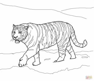 Tiger Coloring Pages Realistic Animal Printables for Adults   41782