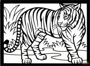 Tiger Coloring Pages to Print Out   41703