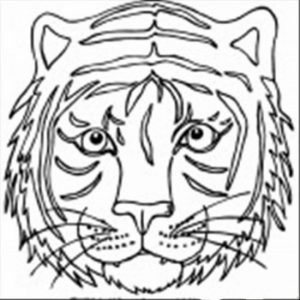 Tiger Face Coloring Pages Free Printable   37192