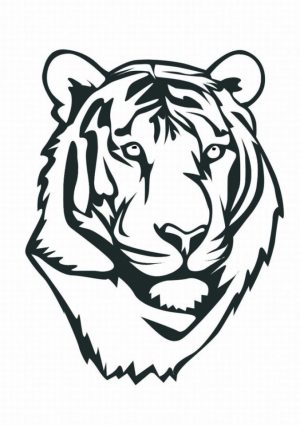Tiger Face Coloring Pages Free Printable   41854