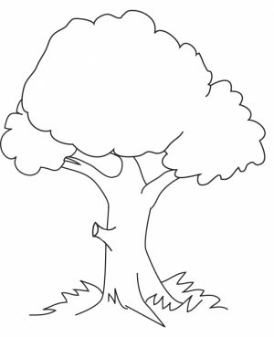 Tree Coloring Pages Online Printable   B6QSA