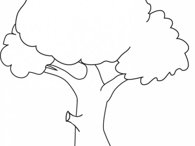 Get This Tree Coloring Pages Online Printable B6QSA