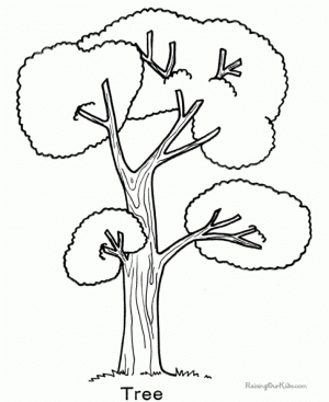 Tree Coloring Pages to Print for Kids   Q1CIN