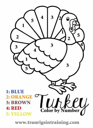 Turkey Coloring Pages Color by Number   96228
