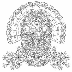 Turkey Coloring Pages for Adults   64166