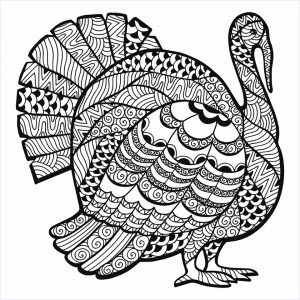 Turkey Coloring Pages for Adults   93172