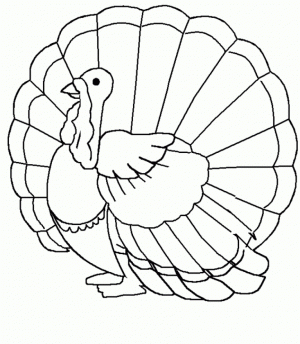 Turkey Coloring Pages for Kids   26482
