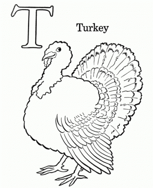 Turkey Coloring Pages Free   31759