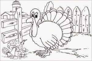 Turkey Coloring Pages Free   49983