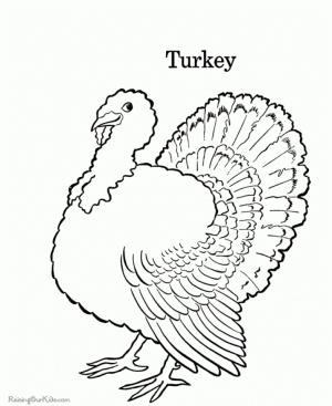 Turkey Coloring Pages Kids Printable   76629