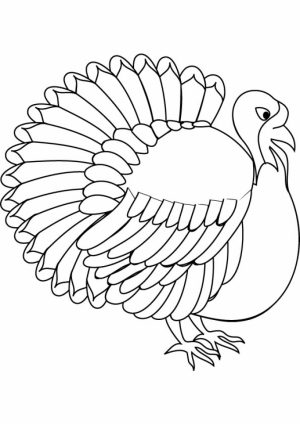 Turkey Coloring Pages Online   56623
