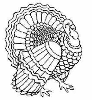 Turkey Coloring Pages Printable   63178