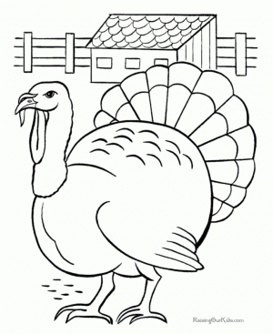 Turkey Coloring Pages to Print Out   85618