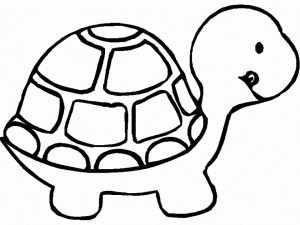 Turtle Coloring Pages Free to Print   j6hdb
