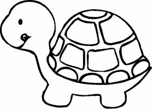 Turtle Coloring Pages to Print for Kids   aiwkr