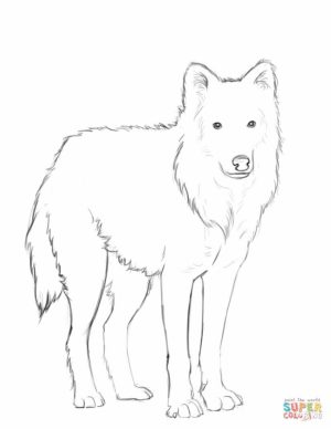 Wolf Coloring Pages Free Printable   15362
