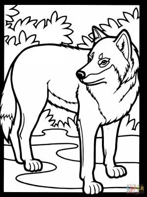 Wolf Coloring Pages Free to Print   26477
