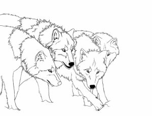 Wolf Coloring Pages Free to Print   31332