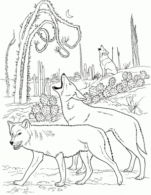 Wolf Coloring Pages to Print for Free   56417