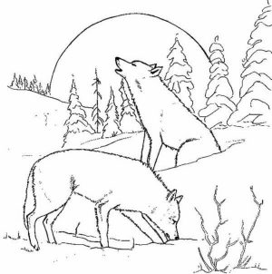 Wolf Coloring Pages to Print for Free   67301