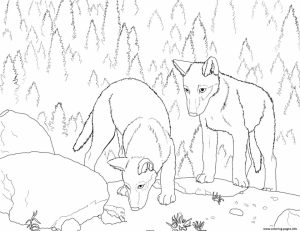 Wolf Coloring Pages to Print for Free   86704