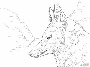 Wolf Coloring Pages to Print for Free   96502