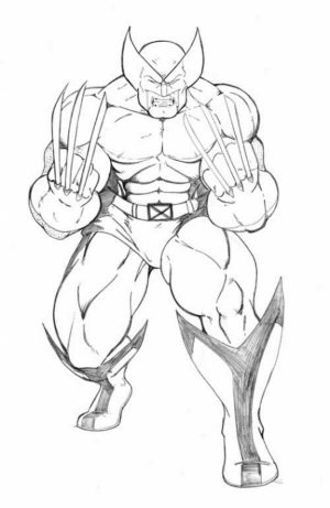 Wolverine Coloring Pages Free for Kids   6Ir1n