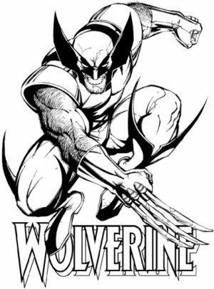 Wolverine Coloring Pages Printable for Kids   xi226