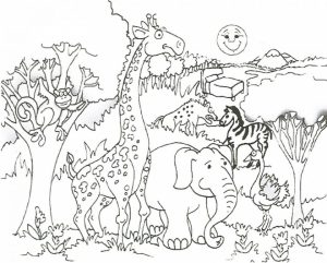 Zoo Coloring Pages Free to Print   88217